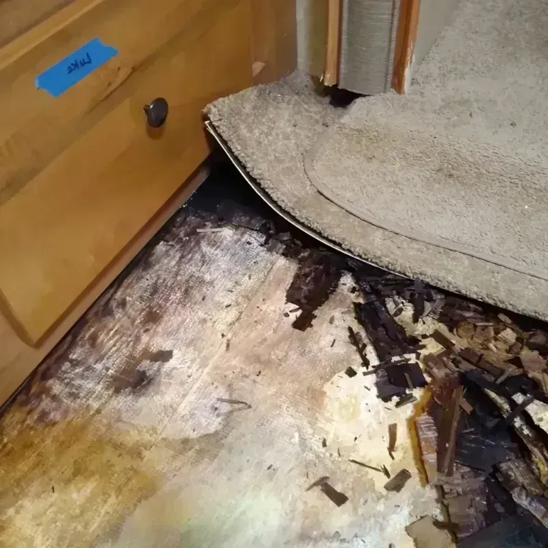 Best Wood Floor Water Damage Service in Hudspeth County, TX